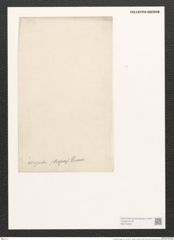 Hantzschia virgata Grun. (de-Toni-Nr.: Genus 50, Species 2208) Zeichnungen Sammlung Grunow (NHMW-BOT-W0372658)